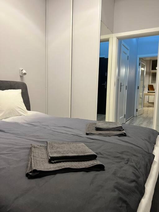 V&O Apartament In The Centre Of كراكوفيا المظهر الخارجي الصورة